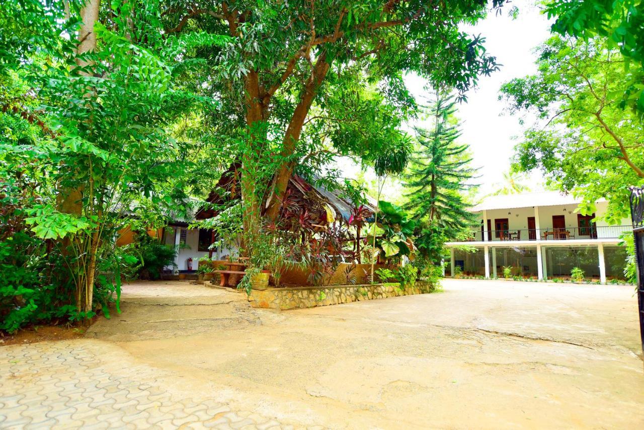 Ariya Rest & Ayurveda Spa Polonnaruwa Ngoại thất bức ảnh