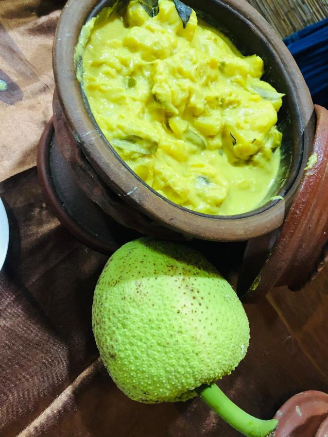 Ariya Rest & Ayurveda Spa Polonnaruwa Ngoại thất bức ảnh